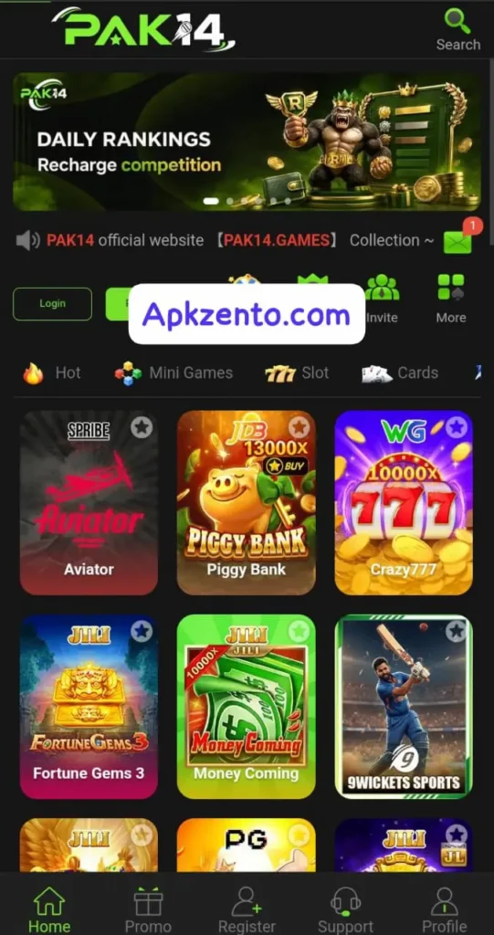 PAK14 Game